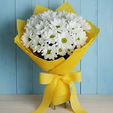 Букет цветов из:  Хризантемы в Поселок Ремзавода