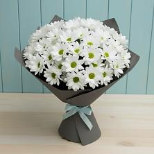 Букет цветов из:  Хризантемы в Поселок Ремзавода