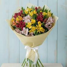 Букет цветов из:  Альстромерии в Поселок Ремзавода
