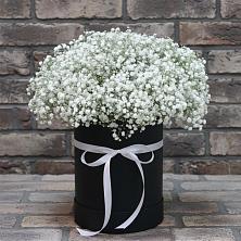 Цветочная композиция из Гипсофила в шляпной коробке в Поселок Ремзавода