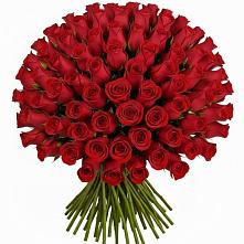 Букет Красные розы Чери Лав в Поселок Ремзавода